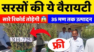 सरसों की फ्री वाली वैरायटी RH 725 तोड़ेगी सारे रिकॉर्ड | सब पर भारी 👌