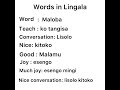 lingala’s course liteya ya anglais