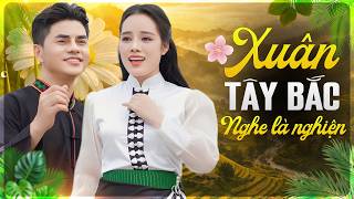 Nhạc Tây Bắc Đón Xuân Hay Nhất | Tình Ca Núi Rừng Gây Nghiện Nghe Là Muốn Về Bản