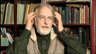 QUANTUM HOLOGRAM BRAIN WAVES