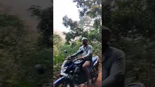 Kali Tiger Reserve Ulavi Forest @ Kumbri Shivapura | Dandeli Joida Tour #shorts #youtubeshorts