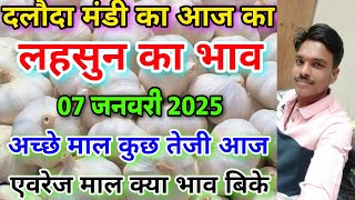 दलौदा मंडी आज का लहसुन का भाव 07 जनवरी 2025 |garlic rate today daloda mandi |aaj ka lahsun ka bhav