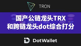 国产公链龙头TRX和跨链龙头dot综合打分