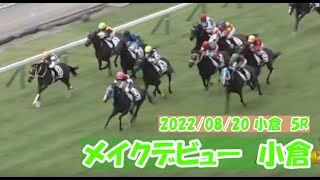 2022/08/20【パドック返し馬つき】小倉5R　メイクデビュー小倉　　☆シルフィードレーヴ　アメリカンペイトリオット　　(^^♪レースは11分ころから(^^♪