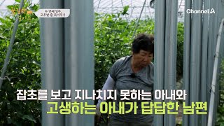 옥수수에 이어 고추밭까지?! 쉴 틈 없이 이어진 부부의 농사 | 인생치유 프로젝트 꽃길만 걸어요 시즌2 3 회