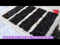 거친바다 우이도에서 돌미역 채취 1박2일 동행