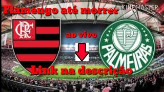 Assistir Flamengo x Palmeiras ao vivo HD