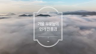 가을 우포늪의 안개 낀 풍경을 보실까요😊😊