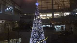 東京オペラシティのクリスマスツリー