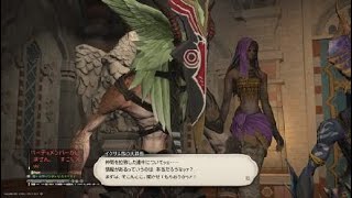 ファイナルファンタジー１４「８０帯プレイ１８９ー１」