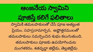 ఆంజనేయ స్వామిని పూజిస్తే కలిగే ఫలితాలు/ అరటి తోటలో హనుమంతుడి పూజ#devotional