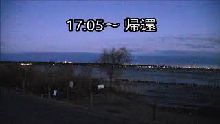 2019.12.31 茨城県 潮来(いたこ)市 水原 白鳥の里 17:05～ 帰還