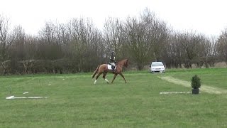 Harriet Turton \u0026 Kates Touch: Isleham BE100 Open Dressage