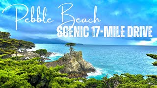 You MUST DO this! 17 Mile Drive | Pebble Beach
