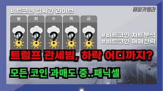 비트코인 실시간, 트럼프 관세 빔! 비트코인 하락 어디까지? 모든 코인 과매도 중 2/3 점심💎#비트코인 #비트코인실시간 #이더리움 #리플 #cryptocurrency #차트분석