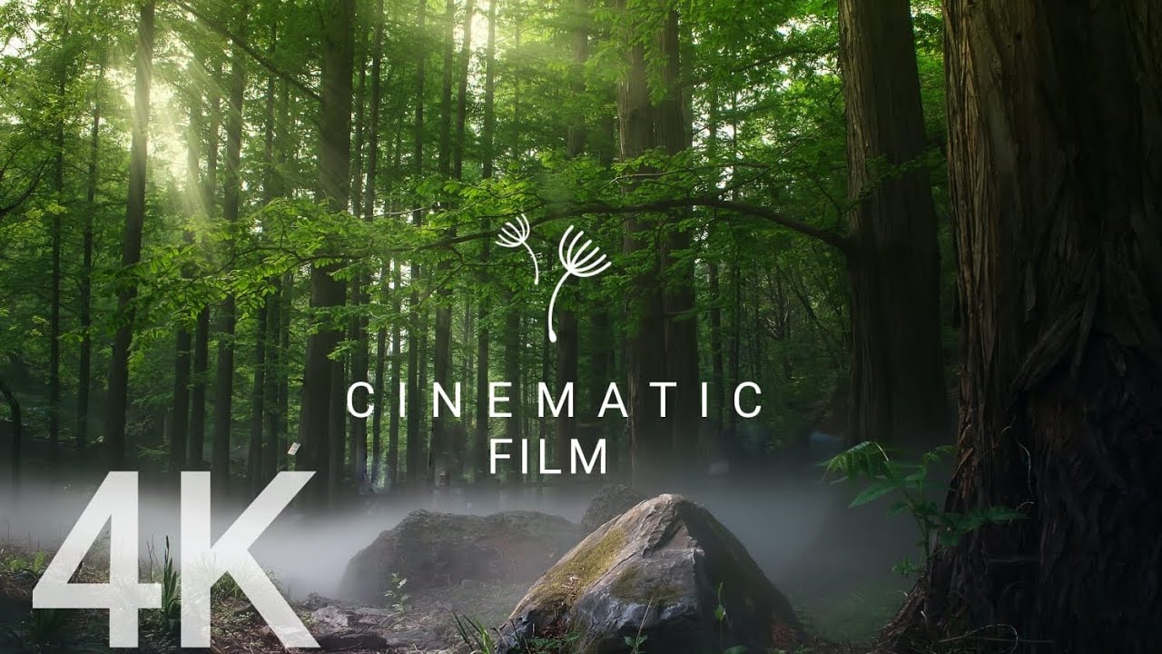 4k Nature Cinematic Xiaomi Cinematography Uhd 60 Fps Video Ultra