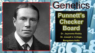 Punnett's Checker Board- A Genetics' tool