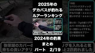 2025年デカバスが釣れるルアー。デプスのリバウンドスティック　 #バス釣り #バスフィッシング