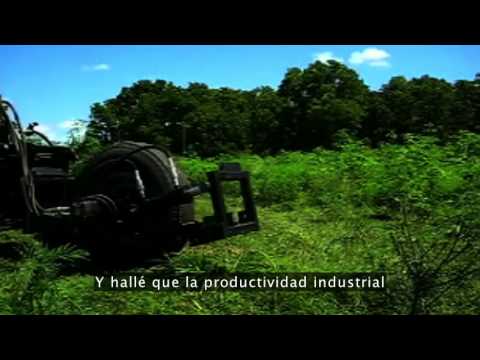 Evolución Tecnológica Futurística !!