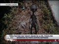 TV Patrol Real or fake Alien allegedly photographed in Laguna