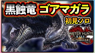 【MHサンブレイク】初見！ゴアマガラ！！攻撃がカッコよすぎるンゴ【太刀】