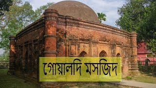 Goaldi Mosque 1519 || অযত্নে ধ্বংস হচ্ছে গোয়ালদি মসজিদ