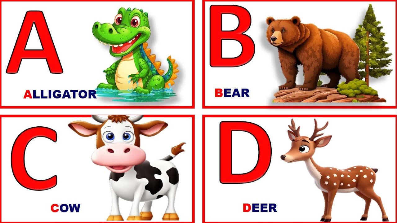 Abc Alphabet |animals| Abcd Live Example| Abcd | Abc Song | A For ...