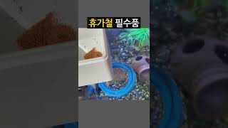 휴가철 필수품 ! 열대어 자동 급여기