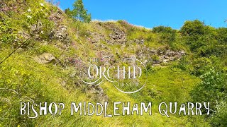 Bishop Middleham Quarry (OH172)