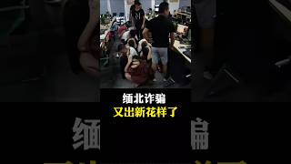 缅北诈骗又出来套路了 #科普