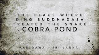 King Buddhadasa -Treated Snake - Naaga Pokuna.  බුද්ධදාස රජු - ප්‍රතිකාර කළ සර්පයා - නාග පොකුණ