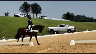 Lucienne Bellissimo - Tremanton - Winner CCI3* Short Virgina Horse Trials