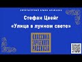 СТЕФАН ЦВЕЙГ «УЛИЦА В ЛУННОМ СВЕТЕ». Аудиокнига. Читает Алексндр Бордуков