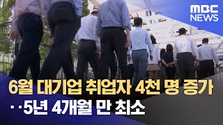 6월 대기업 취업자 4천 명 증가‥5년 4개월 만 최소 (2024.07.23/12MBC뉴스)