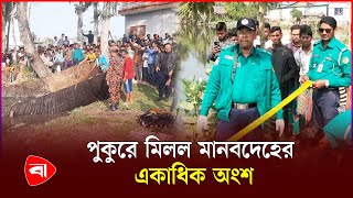 বরিশালে দুটি পুকুর থেকে মানবদেহের একাধিক অংশ উদ্ধার | Barishal News | Protidiner Bangladesh