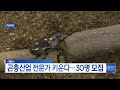 서울시 곤충산업 전문가 키운다…30명 모집_sk broadband 서울뉴스