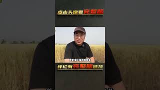 開車200公里到蒲城，吃正宗水盆羊肉，25塊一碗湯鮮肉爛，開眼了 | 完整版:查看評論