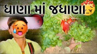 ધાણા માં જધાણા 🍀☘️🥹🥵