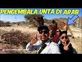 NGOBROL SAMA PENGEMBALA UNTA DI ARAB SAUDI