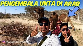 NGOBROL SAMA PENGEMBALA UNTA DI ARAB SAUDI