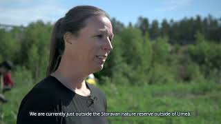 Barents IAS heroes: Collaboration across borders
