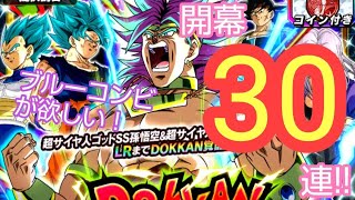 【ドッカンバトル】DOKKANﾌｪｽ～新SSR超ｻｲﾔ人ﾌﾞﾛﾘｰ