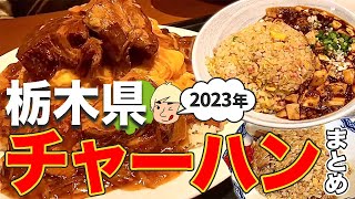 【炒飯】栃木県で食べたチャーハンまとめ(2023年)【栃木グルメ】