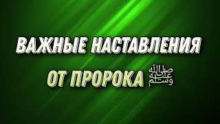 Важные наставления от пророка ﷺ