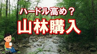 山林を買うのはハードル高い？宅建業＋山林所有者だからわかる趣味用山林購入の注意点