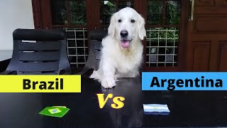 Copa america final brazil🇧🇷 vs Argentina🇦🇷#dog prediction