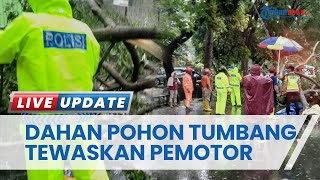 Dahan Pohon Tumbang di Malang akibatkan Pengendara Motor Tewas, Motor Terus Melaju hingga 10 Meter