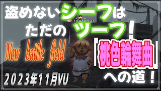 #161 「2023年　盗めないシーフはただのツーフ！New　battle　field 「桃色輪舞曲」」いくたるのFF11実況プレイ