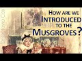 Jane Austen PERSUASION | How are the Musgroves introduced? What is prosopopoeic ekphrasis?