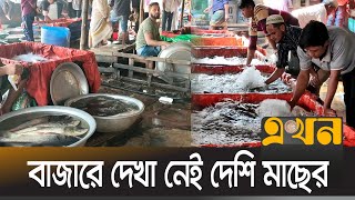 সপ্তাহের ব্যবধানে দাম বেড়েছে ৫০ টাকা | Fish Market | Brahmanbaria | Price Hike | Ekhon TV